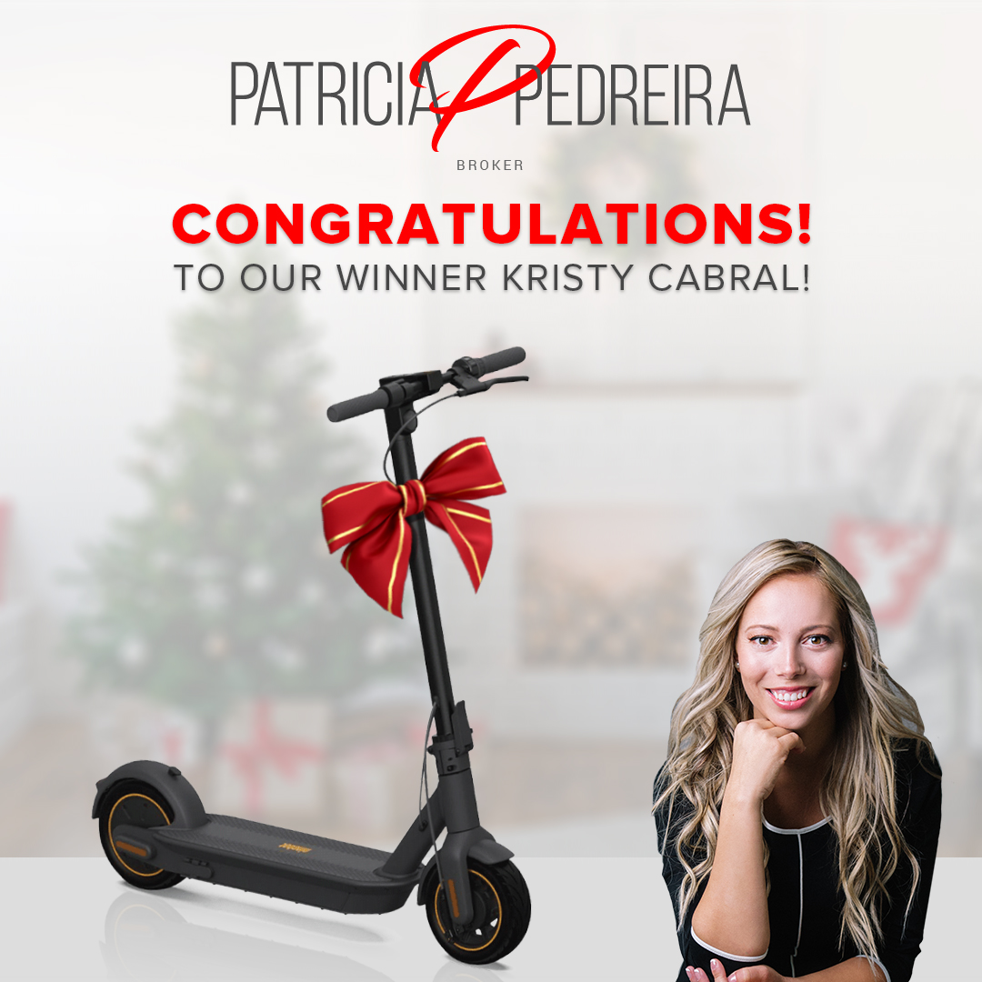 Segway Ninebot Electric Scooter - Giveaway Closed